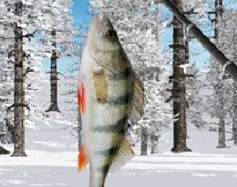 Игра Зимняя рыбалка