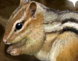 Игра Бурундук