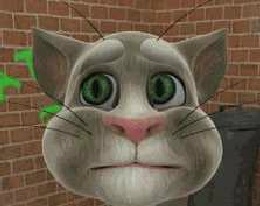 Игра Говорящий Кот Том